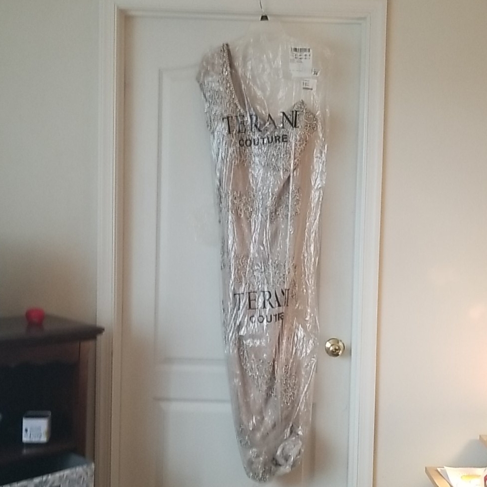 Terani Couture Mother of the Bride dress